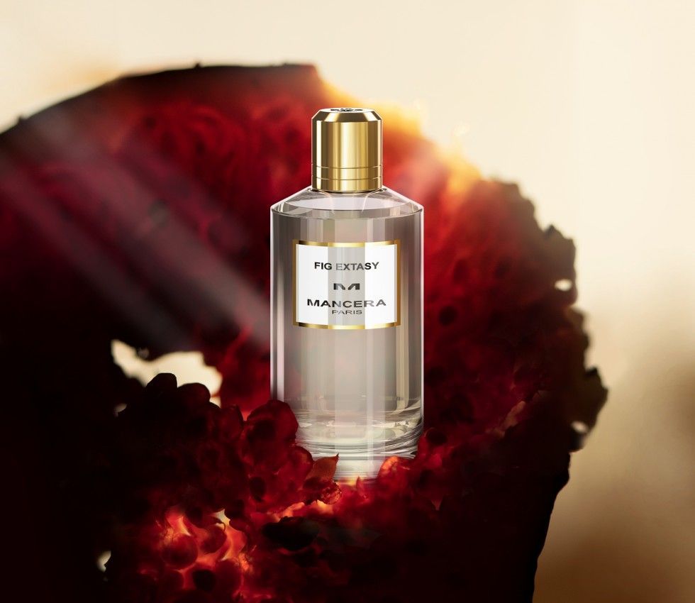 Aoud Sandroses